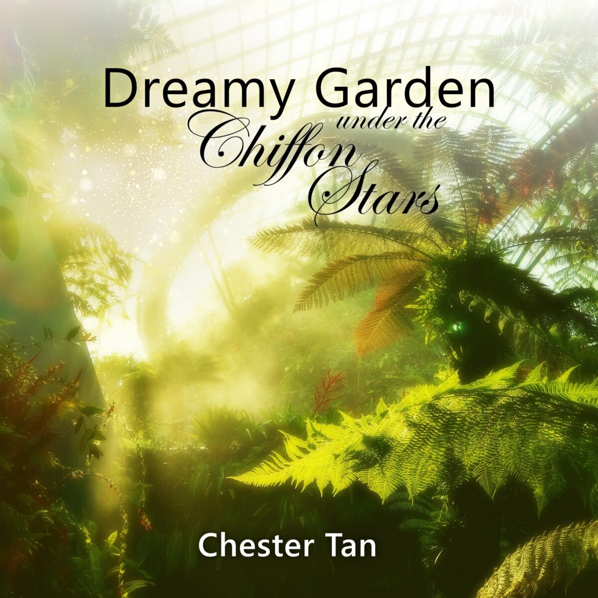 Dreamy Garden Under The Chiffon Stars album by Chester Tan