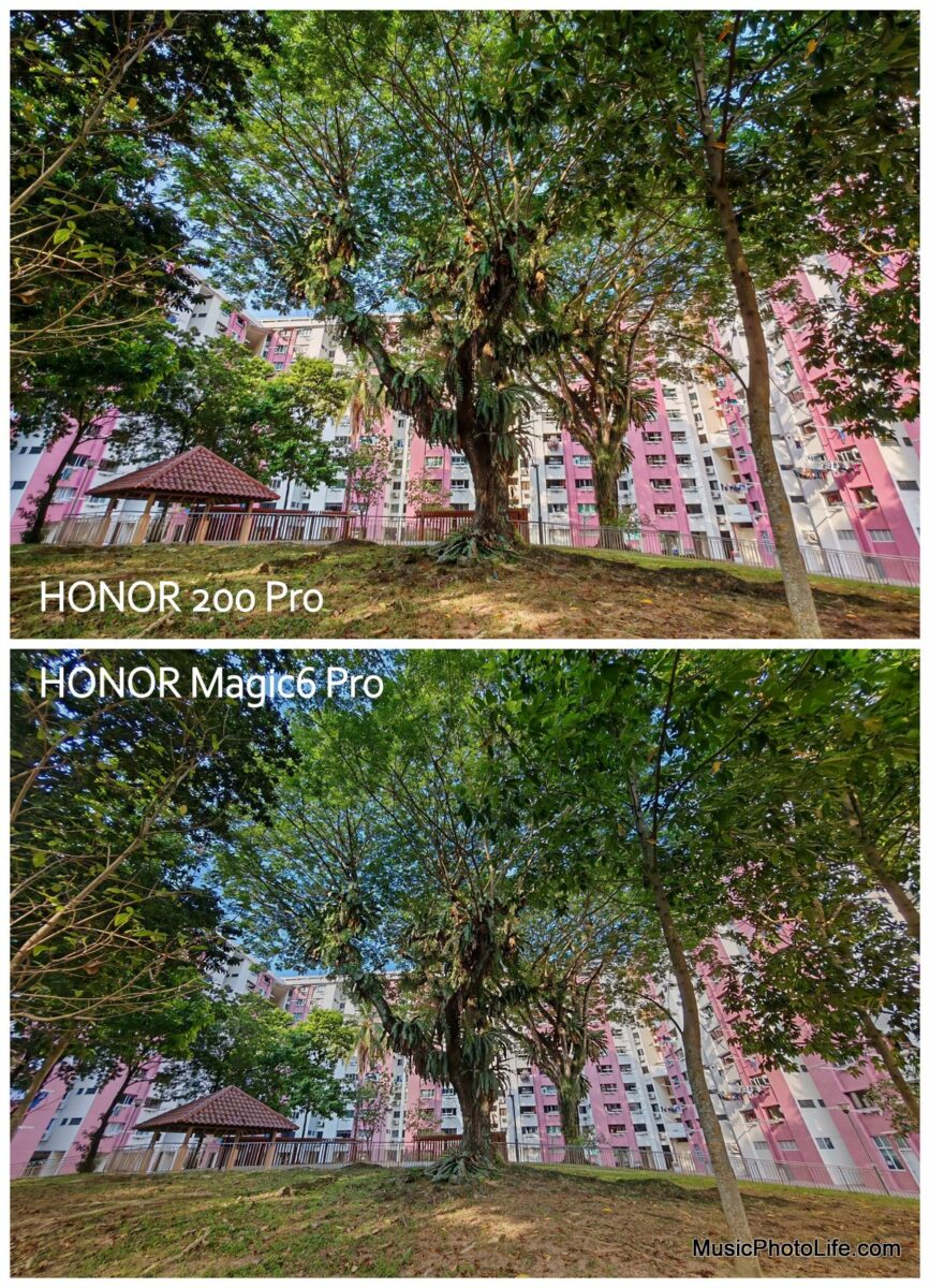 HONOR 200 Pro vs. HONOR Magic6 Pro - wider angle